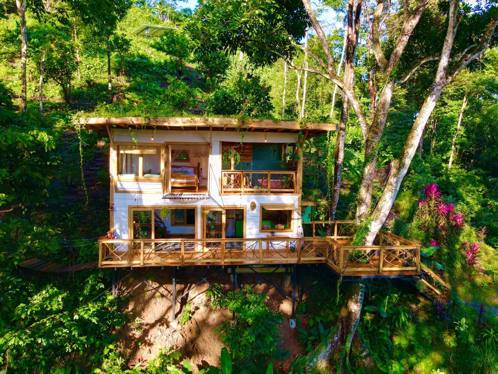 Villa Jungle Spirit Treehouse Cahuita Exterior foto