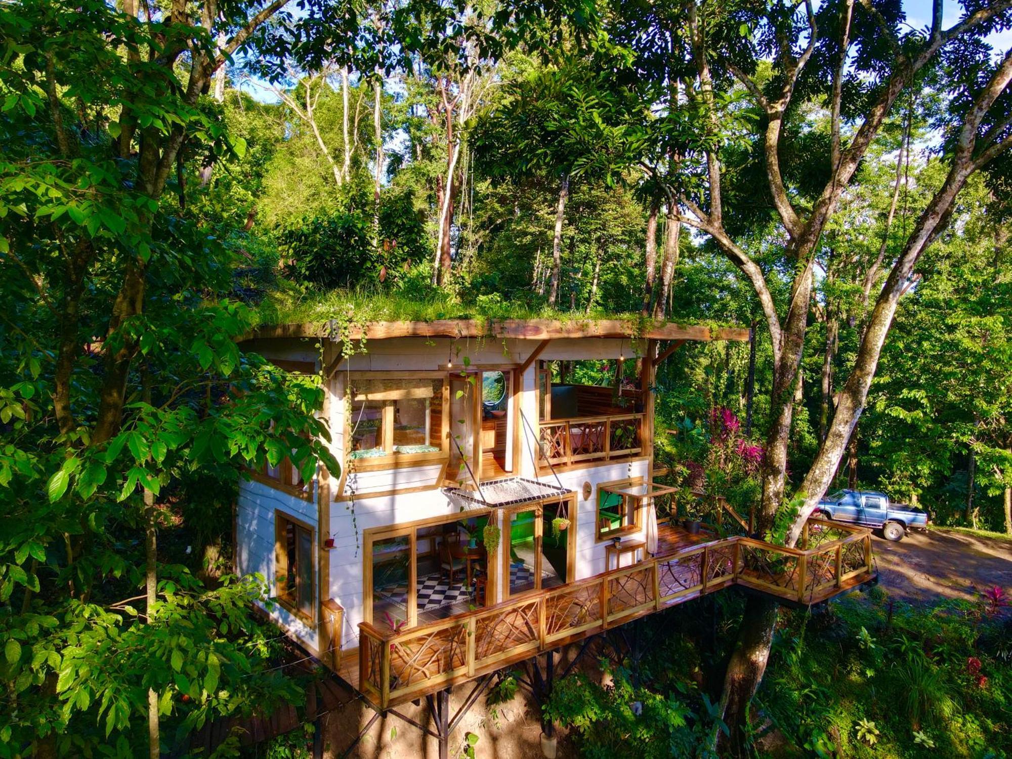 Villa Jungle Spirit Treehouse Cahuita Exterior foto