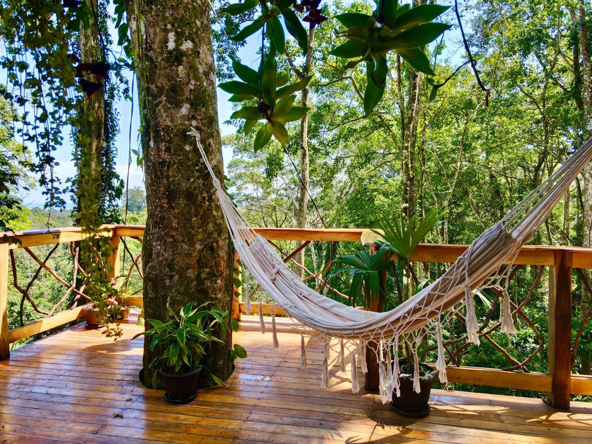 Villa Jungle Spirit Treehouse Cahuita Exterior foto