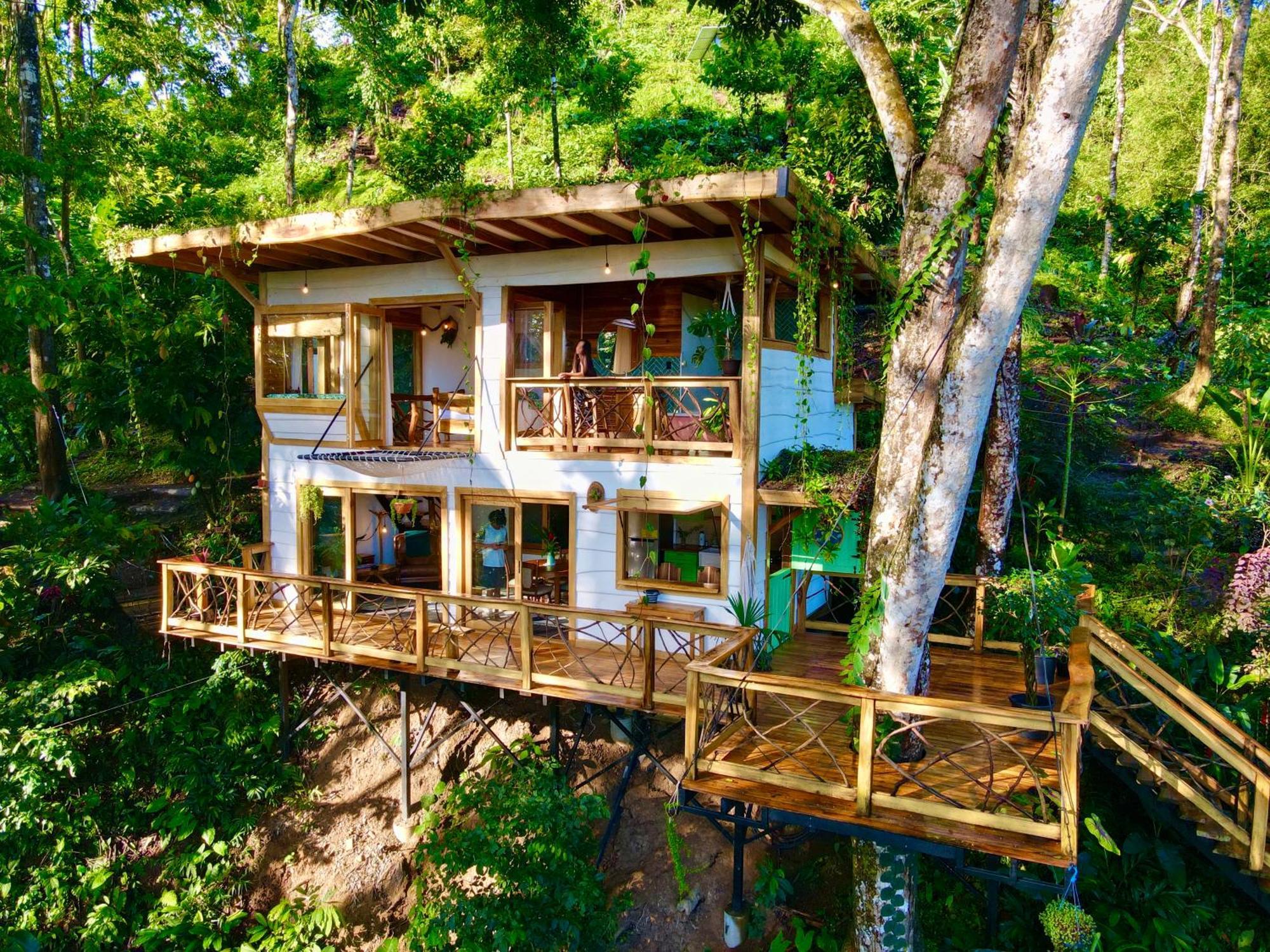 Villa Jungle Spirit Treehouse Cahuita Exterior foto