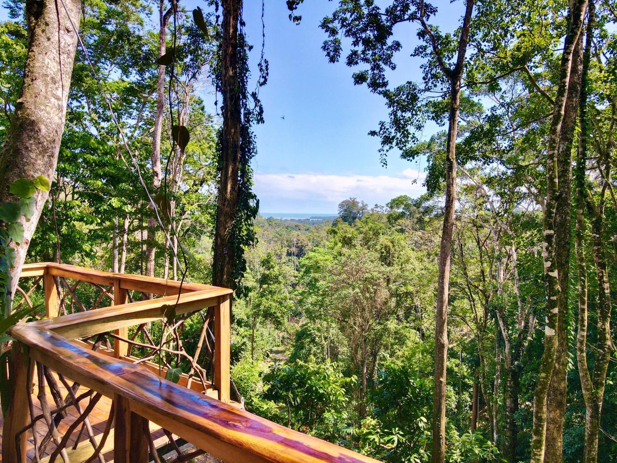 Villa Jungle Spirit Treehouse Cahuita Exterior foto