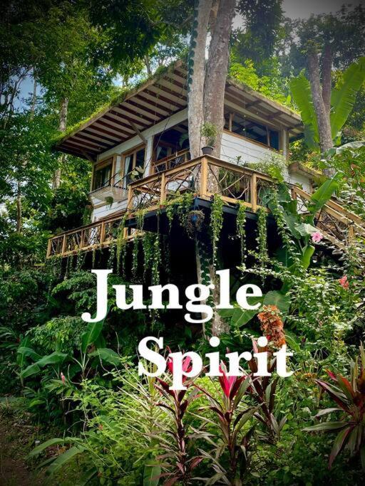 Villa Jungle Spirit Treehouse Cahuita Exterior foto