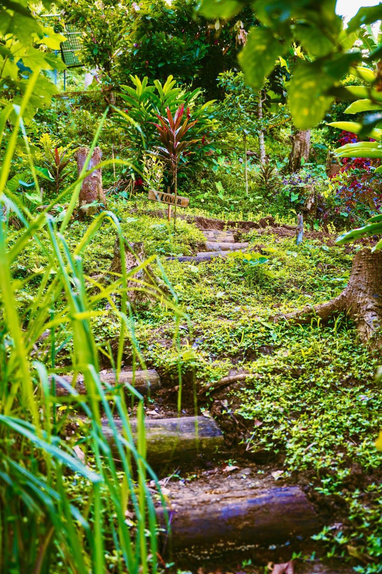 Villa Jungle Spirit Treehouse Cahuita Exterior foto