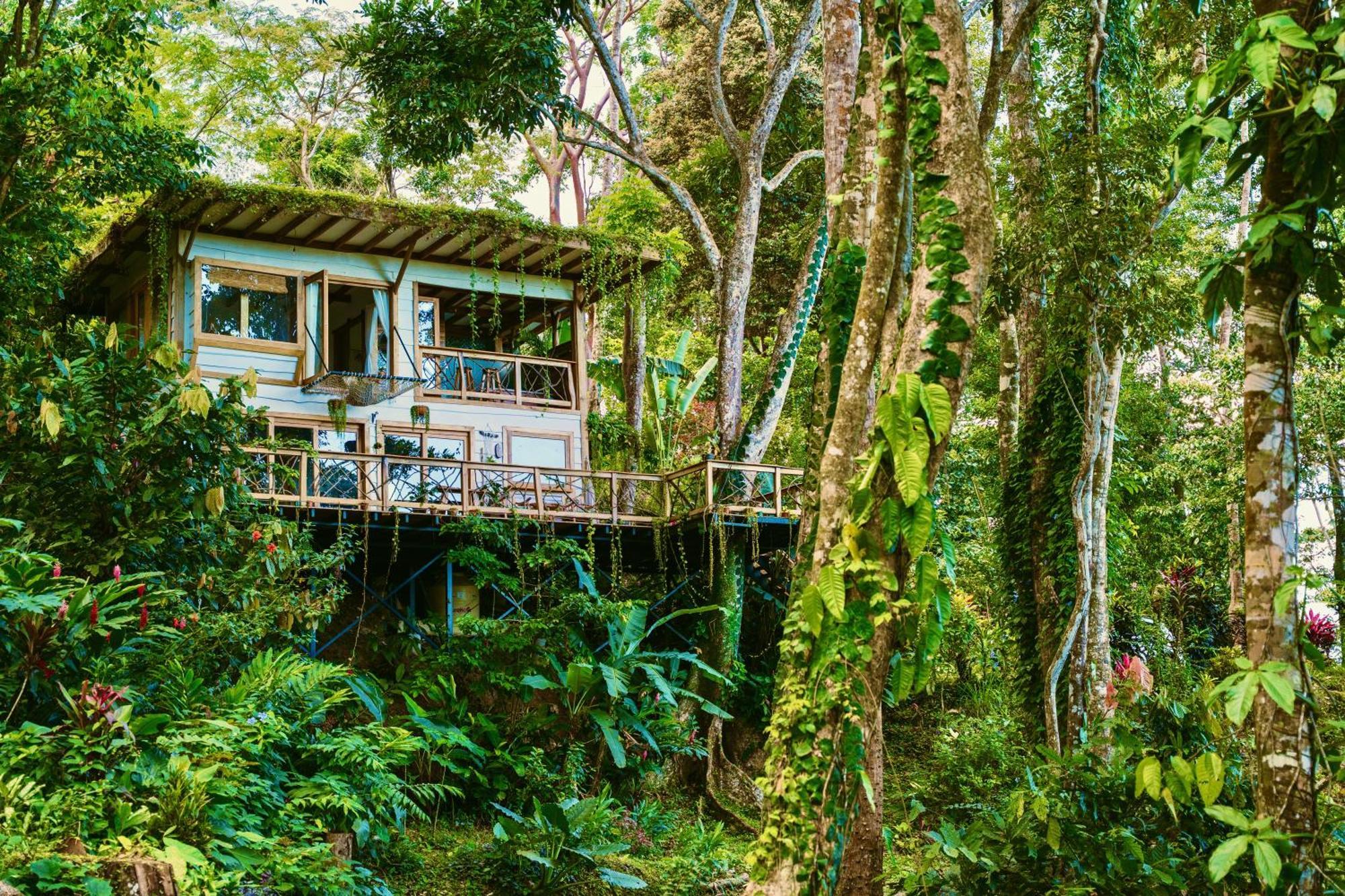 Villa Jungle Spirit Treehouse Cahuita Exterior foto