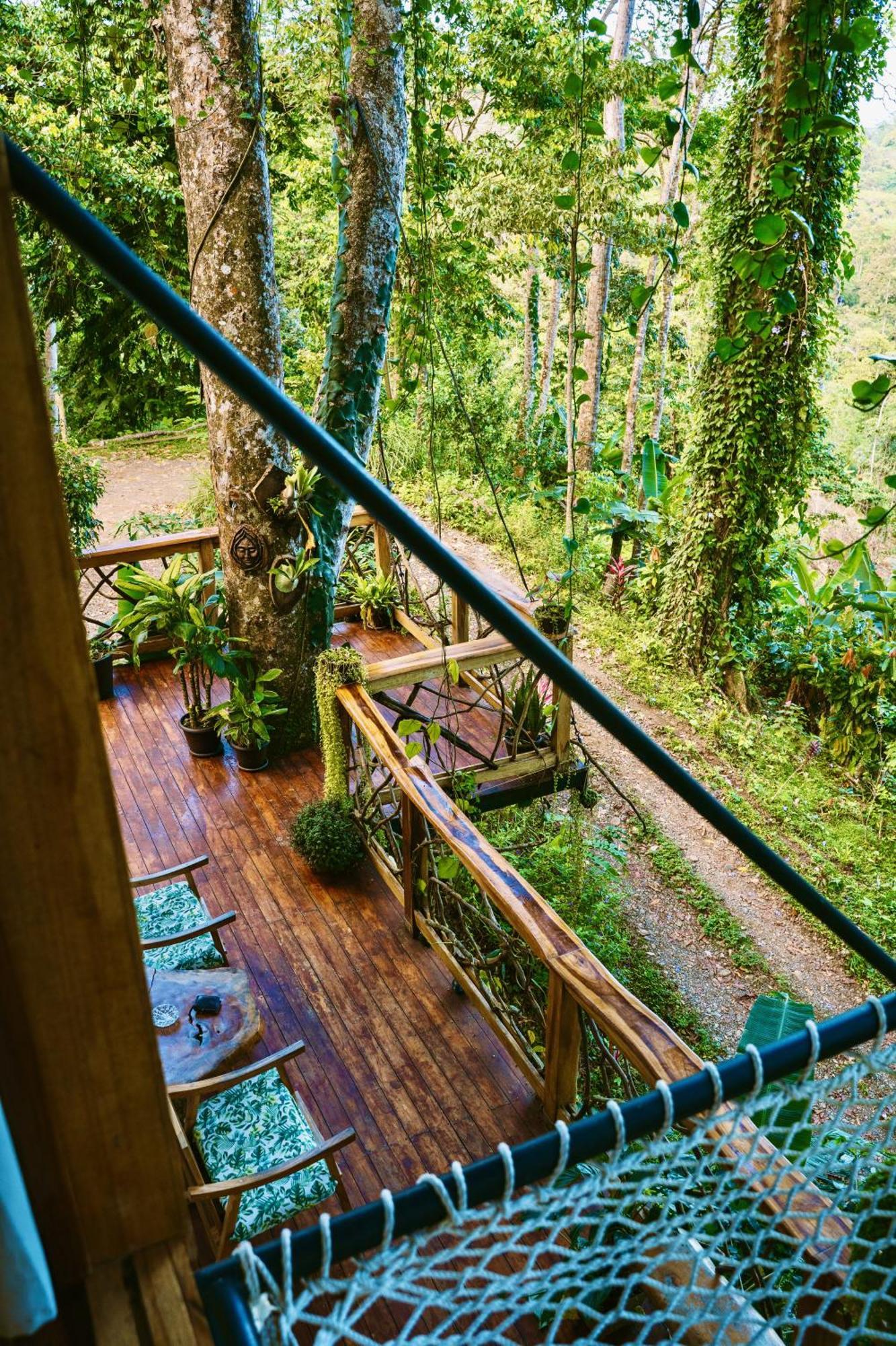 Villa Jungle Spirit Treehouse Cahuita Exterior foto
