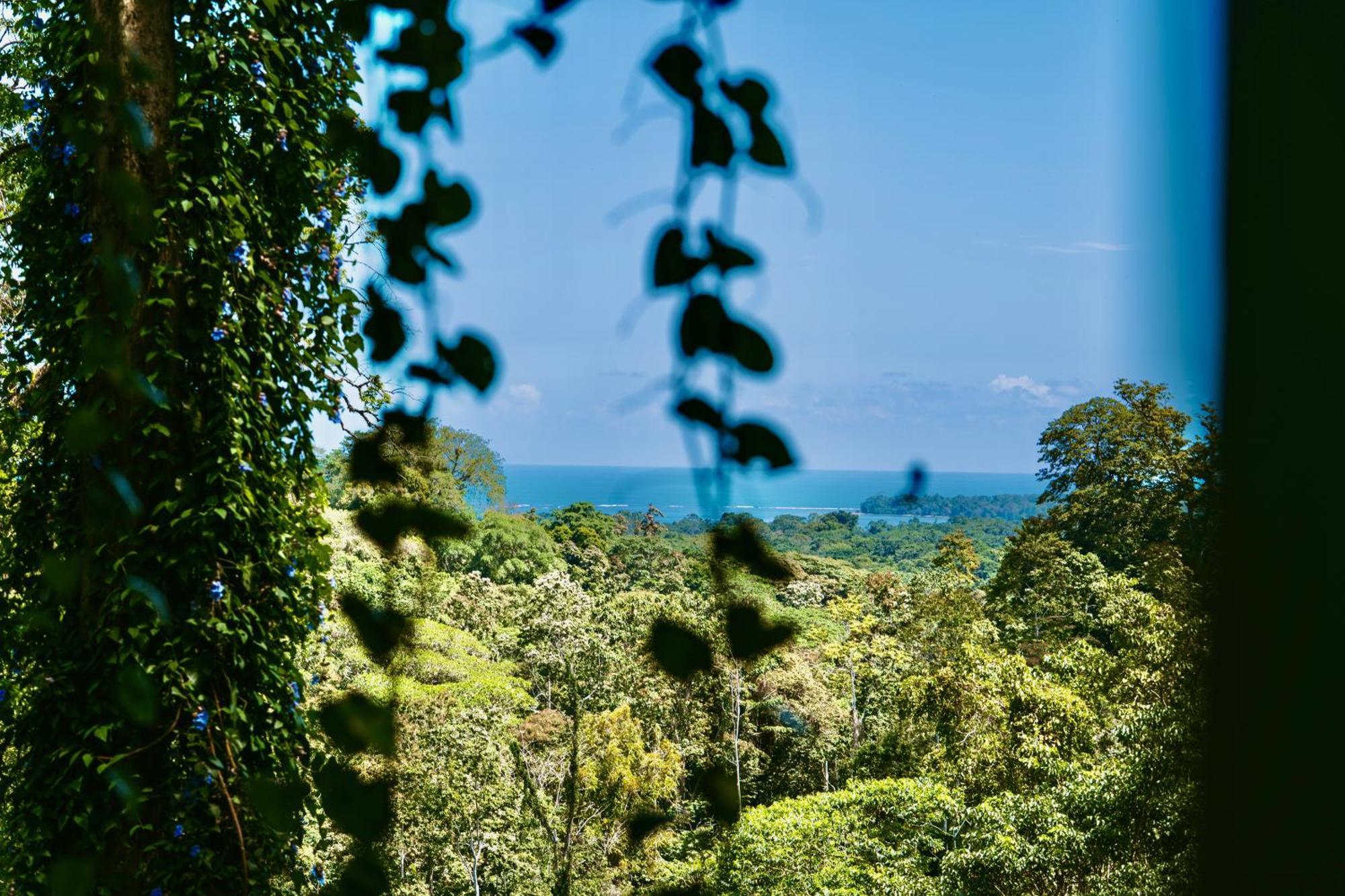 Villa Jungle Spirit Treehouse Cahuita Exterior foto
